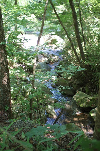 f0238184_1130288.jpg