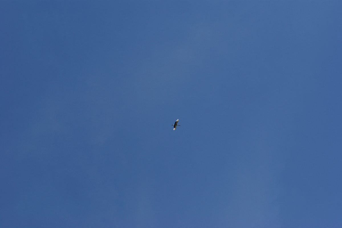 e0051186_20353167.jpg