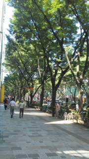 c0095693_812778.jpg