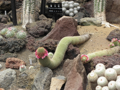 c0086895_14503342.jpg