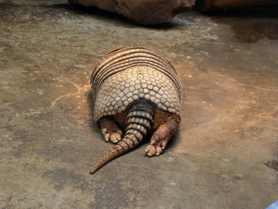 c0086895_14544716.jpg