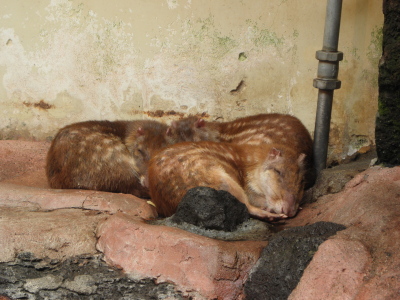 c0086895_1455764.jpg