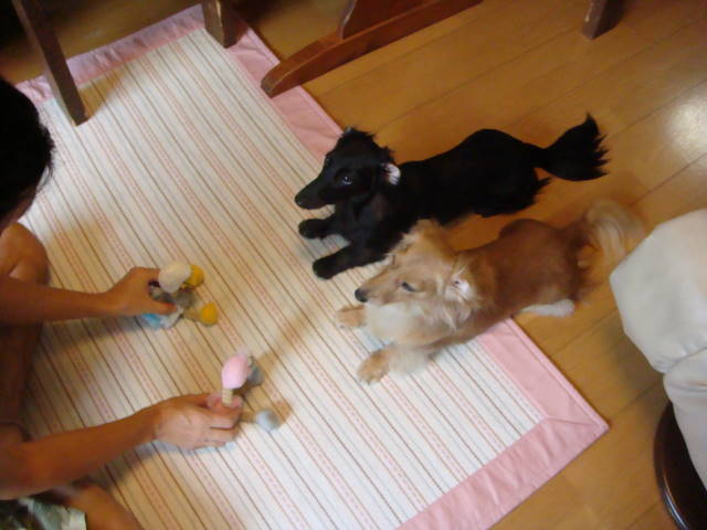 d0098295_22531046.jpg