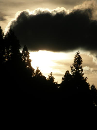e0017396_22444741.jpg