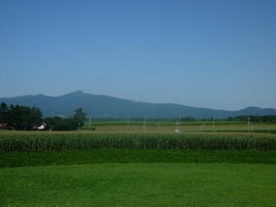 a0127398_2433970.jpg