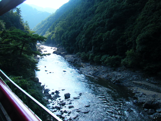 a0050302_1215262.jpg