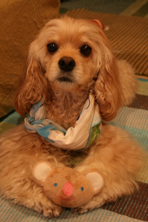 c0128303_0464355.jpg