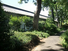 c0187004_21404635.jpg