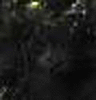e0103408_1312582.gif