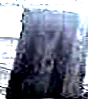 e0103408_136284.gif