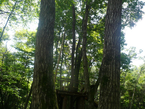 f0006208_152404.jpg