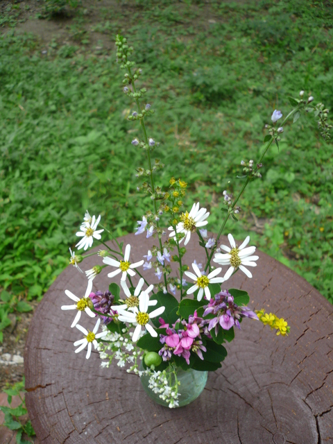f0006208_1655656.jpg