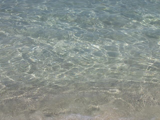 f0198909_19374793.jpg