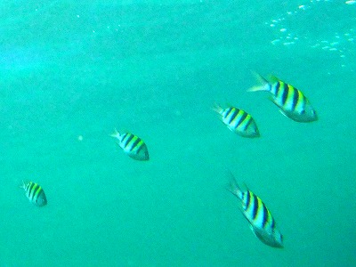 b0062010_22231936.jpg