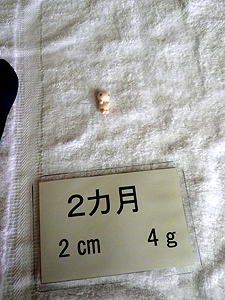b0172311_18364852.jpg