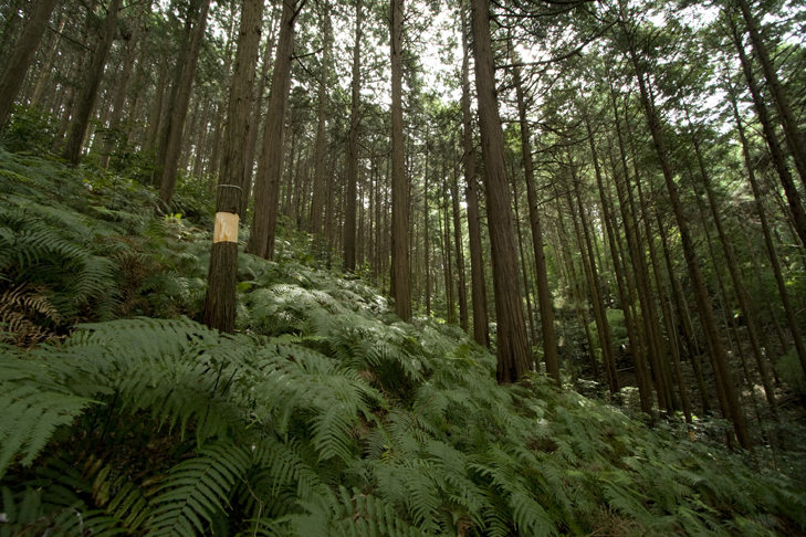 a0096313_1447564.jpg