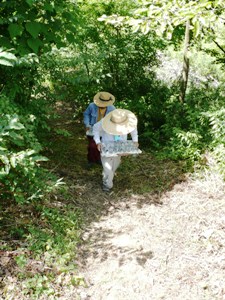 e0097615_1661181.jpg