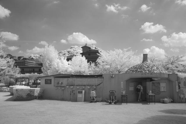赤外線写真の不思議な世界 : <b>京都市動物園</b>