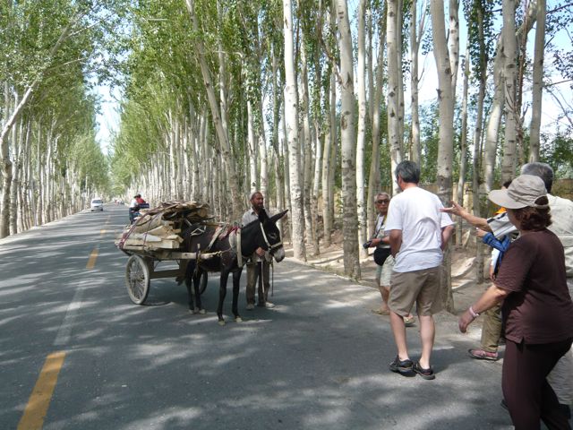 e0111220_23121053.jpg