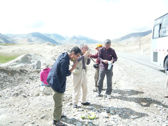 e0111220_2315898.jpg