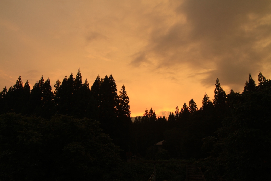 b0146723_13395899.jpg