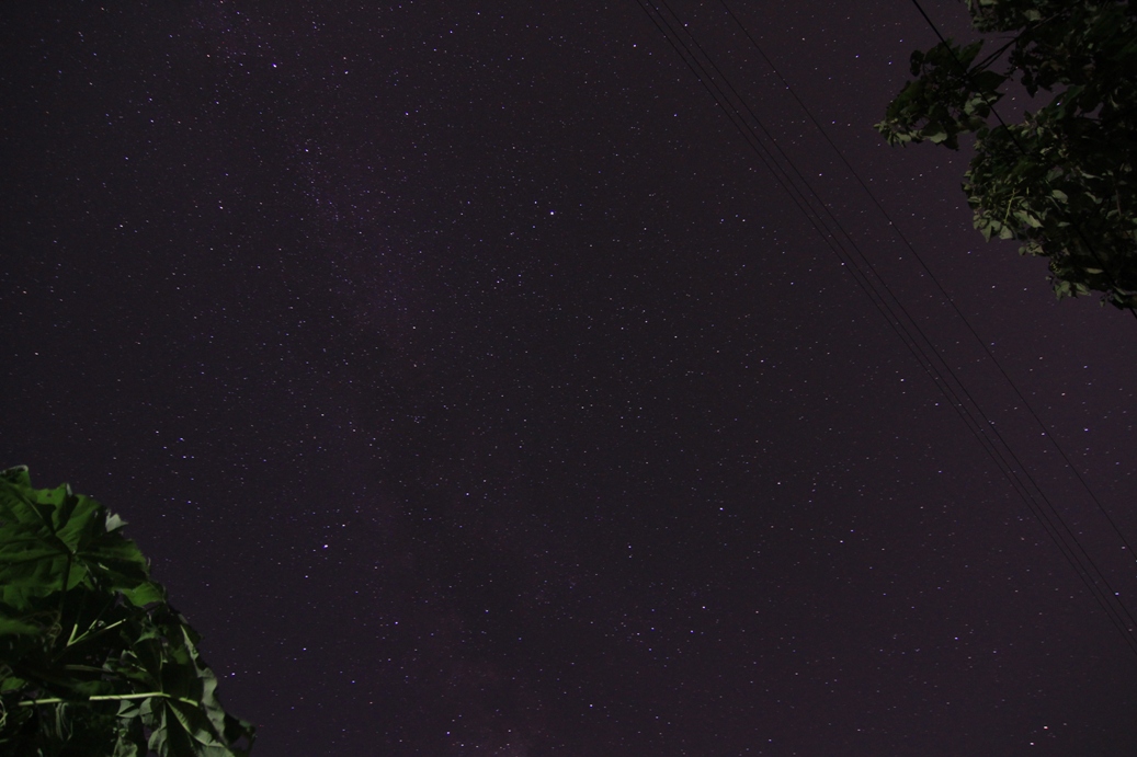 b0146723_1341830.jpg