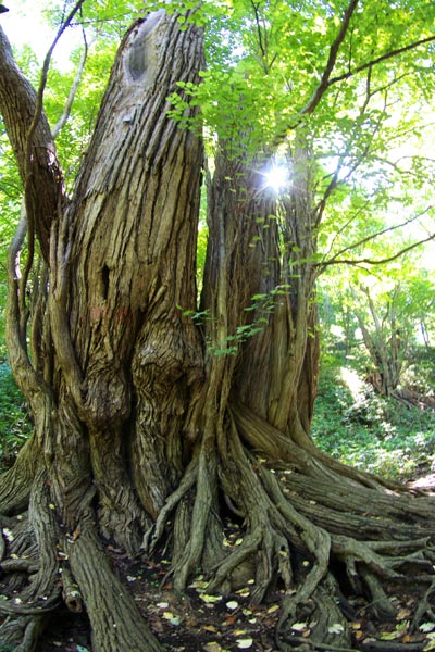 e0001123_232133100.jpg