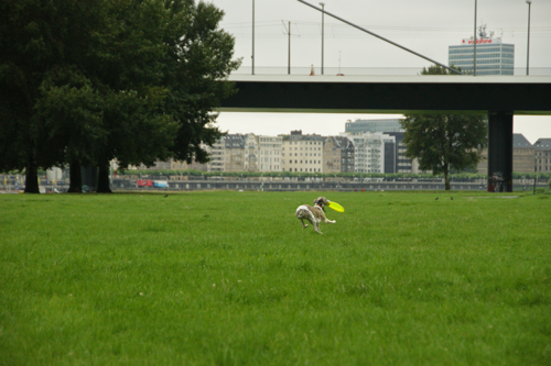 c0198524_833939.jpg