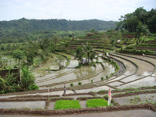 a0120328_2122872.jpg