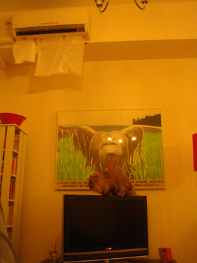 e0157129_1728829.jpg