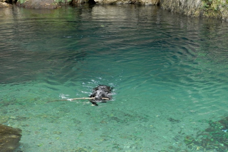 b0182030_2037119.jpg