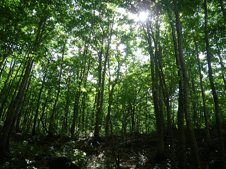 f0118332_19284579.jpg