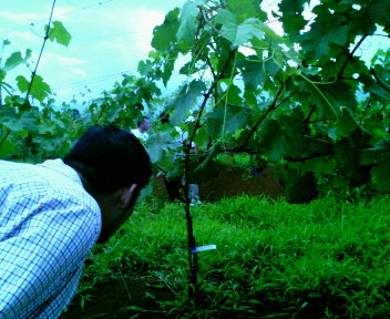 d0014133_12394134.jpg
