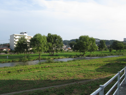 d0156438_1255326.jpg