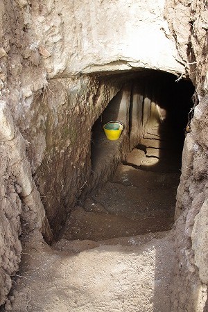 d0092439_2242383.jpg