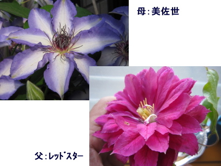 c0025140_23255472.jpg