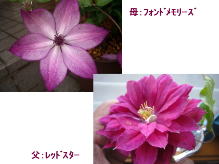 c0025140_23272544.jpg