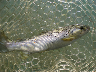 f0065341_18554624.jpg
