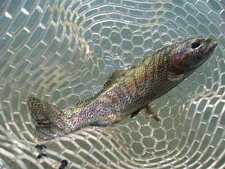 f0065341_18564935.jpg