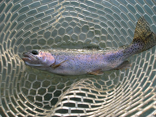 f0065341_18584717.jpg