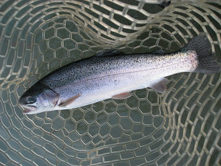 f0065341_18592297.jpg