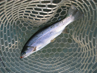 f0065341_1859339.jpg