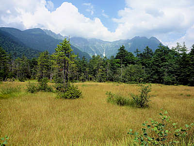 d0039443_9552551.jpg