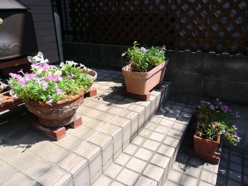 b0206444_13435861.jpg