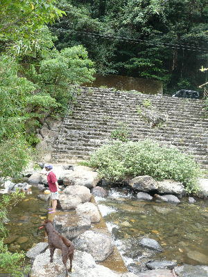 d0013645_22261476.jpg