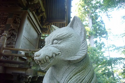 c0191646_05316.jpg