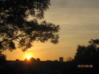 e0121548_1433468.jpg