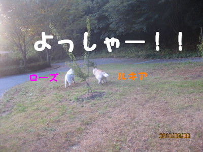 e0121548_14553117.jpg