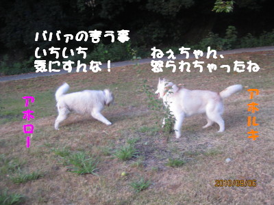 e0121548_1523859.jpg