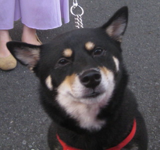 e0121548_15351892.jpg